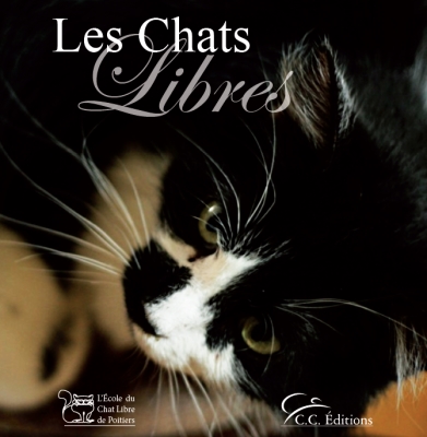 chats libres