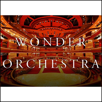 Wonder Orchestra
